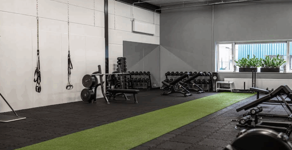 A modern gym with weight benches, barbells, dumbbells, resistance bands, and a green artificial turf strip on the floor. Large windows let in natural light and plants are placed on the windowsill.