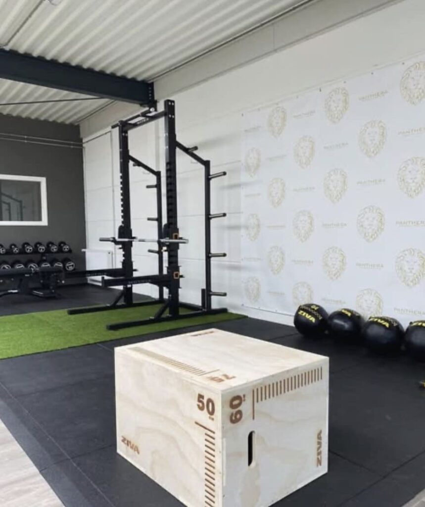 A modern gym with a squat rack, dumbbells on a rack, medicine balls, artificial turf, and a wooden plyometric box marked with 50 and 60 cm in height. The walls feature a lion logo pattern.