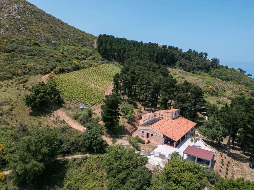 Aerial view of a house with a red-tiled roof surrounded by trees and greenery on a hillside, with a small vineyard nearby and a dirt road winding through the landscape.