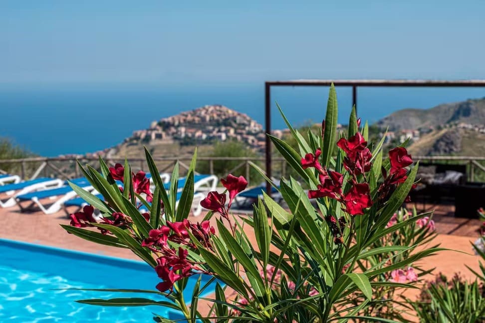 A vibrant plant with red flowers is in focus by a swimming pool, with sun loungers and a scenic view of hills and a distant town overlooking the blue sea in the background.