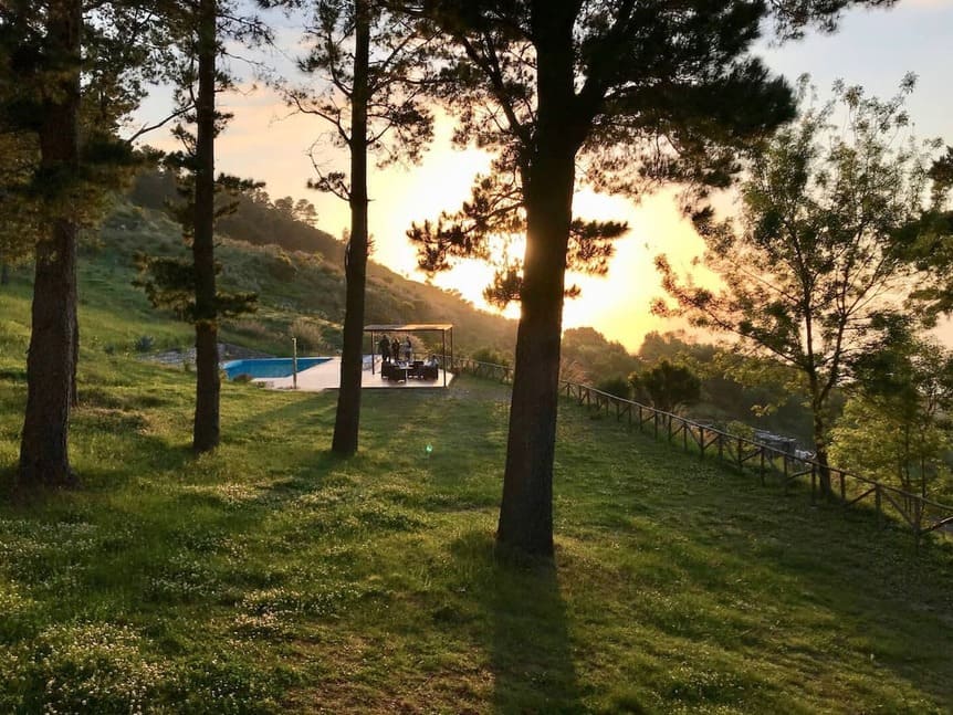 Sunset view through tall trees over a grassy hillside, with a swimming pool and shaded seating area on a wooden deck overlooking the landscape. Warm sunlight casts long shadows on the ground.