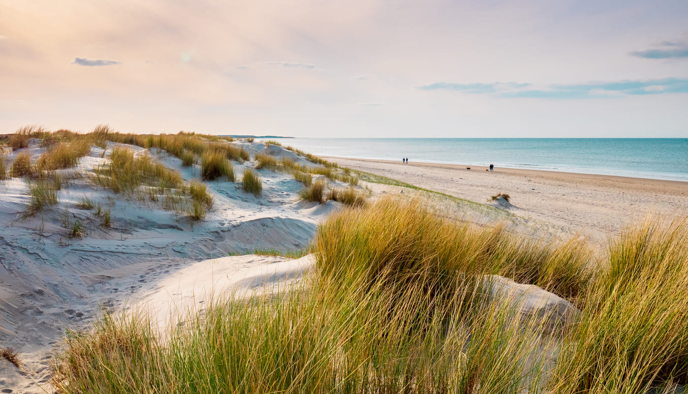 Sand dunes covered with tall grass overlook a wide, sandy beach and calm blue sea under a pastel-colored sky at sunset. A few people walk along the shoreline in the distance.