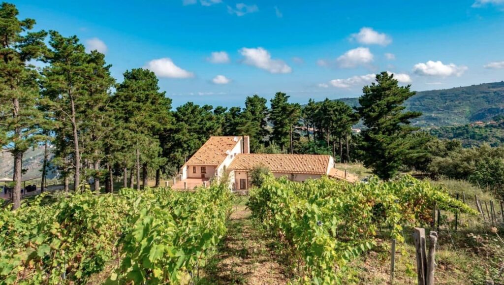 A white farmhouse with a tan roof is surrounded by green vineyards and tall trees, set against rolling hills under a blue sky with scattered clouds.