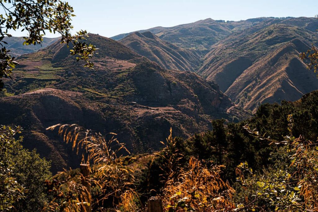 A scenic view of rolling, rugged mountains covered in dry grass and patches of green vegetation under a clear blue sky, with leafy branches and tall grasses in the foreground.